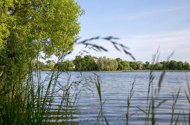 Отель Новый Петергоф Санкт-Петербург Экстерьер фото